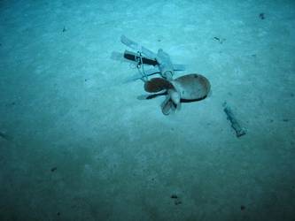 'A' bracket and propeller thought to be from ship's 36-foot motor pinnace